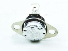 65 Derece 10A Hap Termik