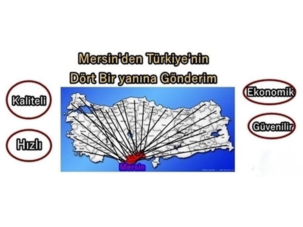 M Tipi Fırın Isıtıcı Rezistans 220V 700W 36cm