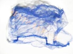 Fantom Halı Yıkama Elektrikli Süpürgelerin Tül Filtresi